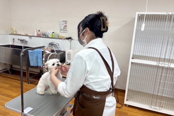 DCM一宮店 ペットコーナー_2