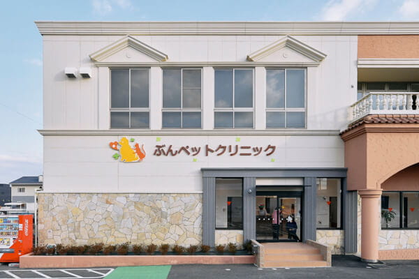 ぶんペットクリニック_19