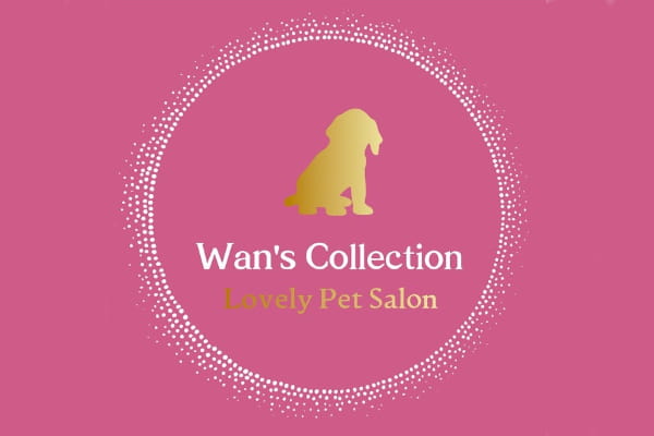 Wan's Collection_3