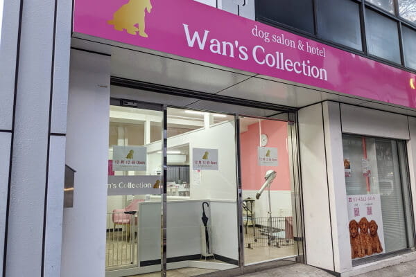 Wan's Collection