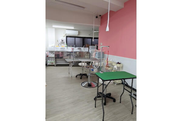 Wan's Collection_2