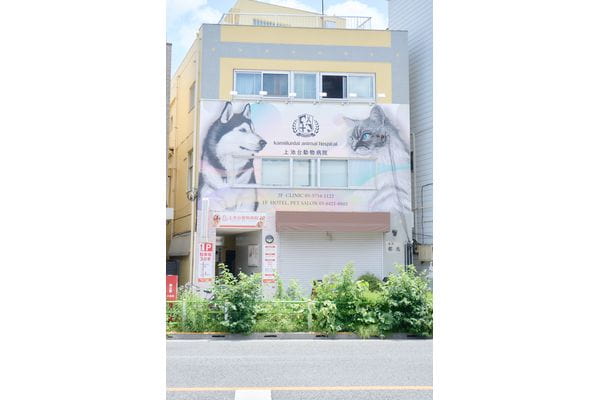 皮膚・お悩み改善 Special Careトリミングサロン CURE （ケア）上池台店