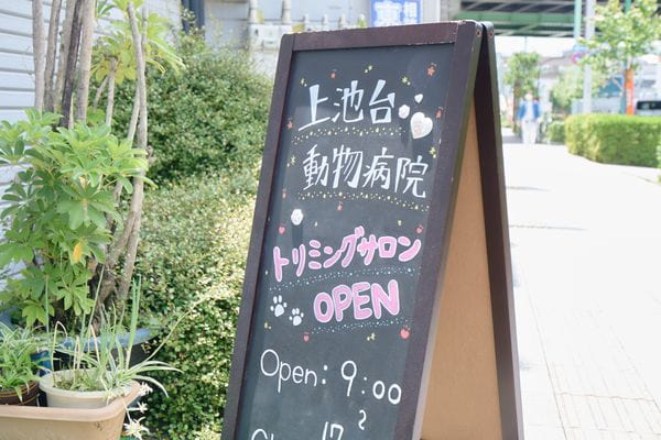 皮膚・お悩み改善 Special Careトリミングサロン CURE （ケア）上池台店_1