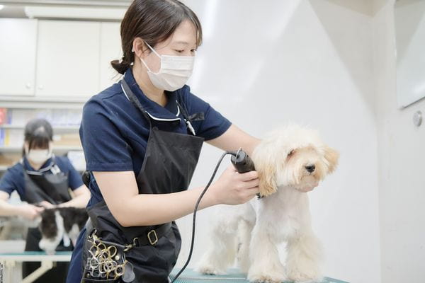 皮膚・お悩み改善 Special Careトリミングサロン CURE （ケア）上池台店_2