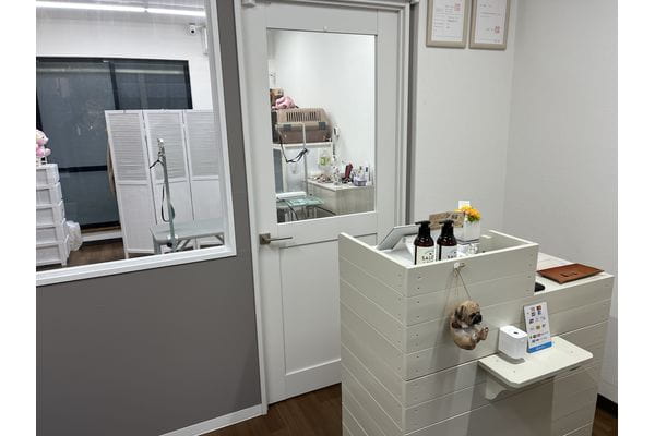 Dog beauty treatment salon STORY_3