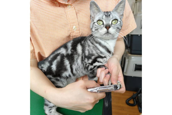 ペットウィズ 南福島店_2
