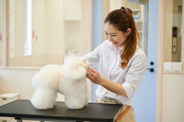 Fluffy & RunRun_4