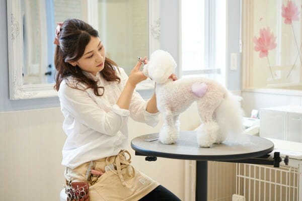 Fluffy & RunRun_3