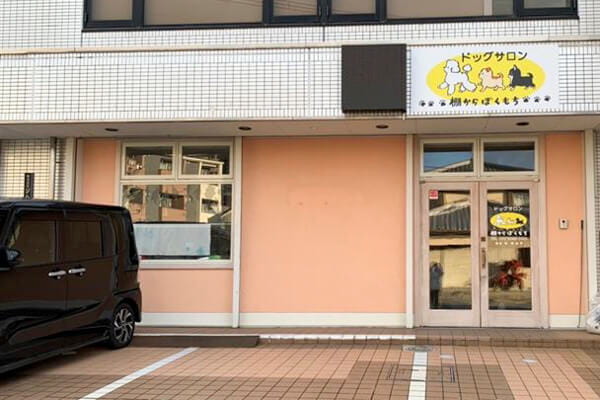 ドッグサロン 棚からぼくもち