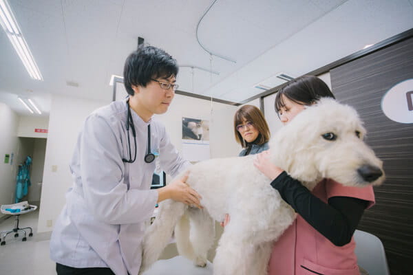 三田シュガー動物病院_2