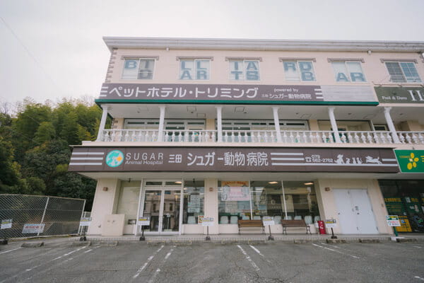 三田シュガー動物病院_4
