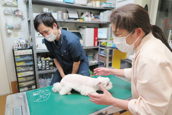 岡田動物病院_3