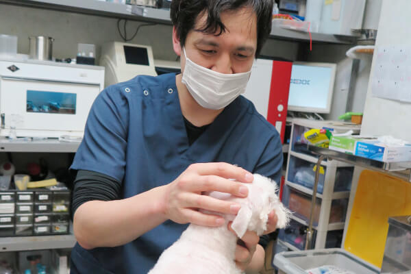 岡田動物病院_4
