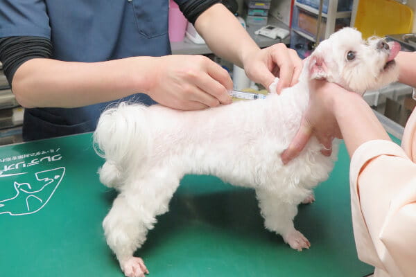 岡田動物病院_5