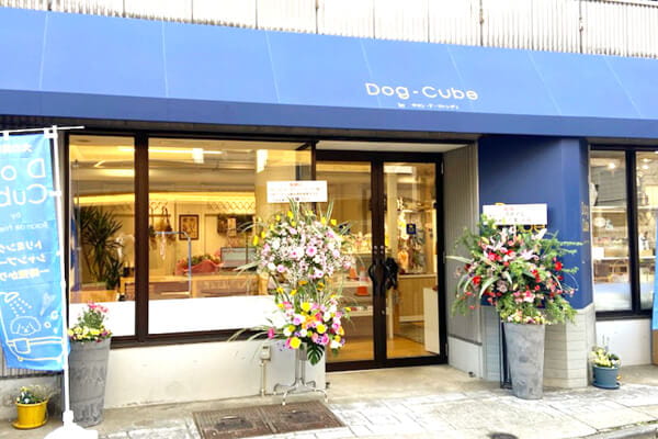 Dog Cube byサロン・ド・フレンディ盛岡店