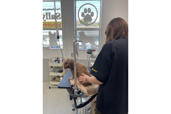Dog Trimming Salon Sally 玉川学園店_2