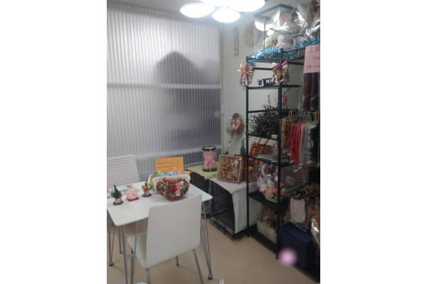 DOG SALON Party_1
