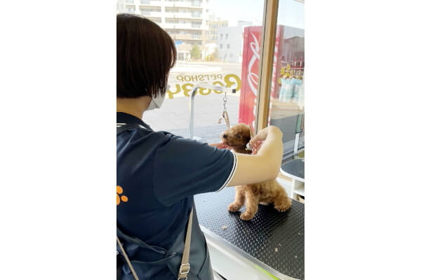 ペットショップボビー旭川店_4