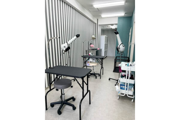 Dog Salon BOB 三国店_1