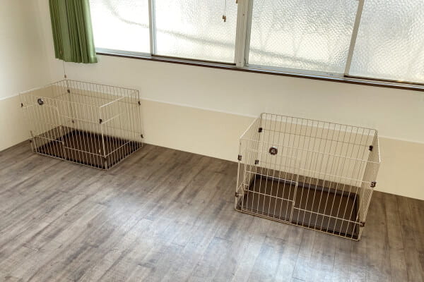 DogSalonTree_2