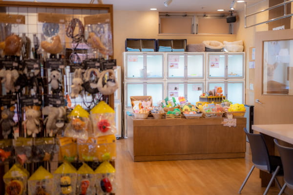 ペットショップボビー札幌本店_2