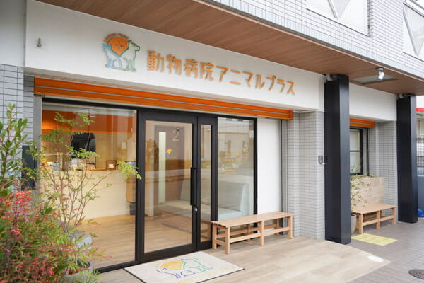 動物病院アニマルプラス