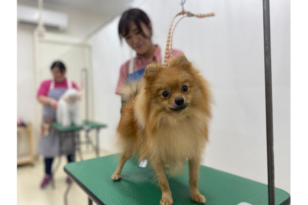 サンペット秋田自衛隊通店