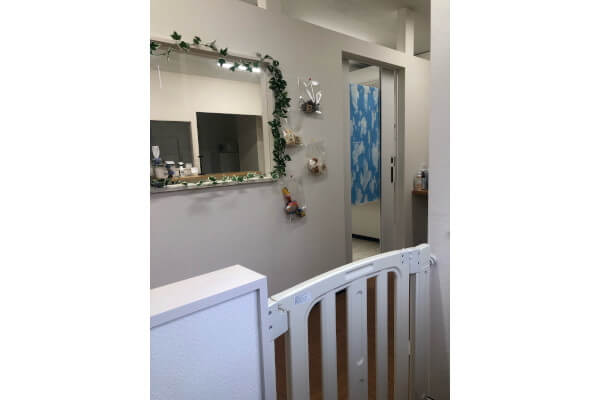 dog salon VIOLA._2