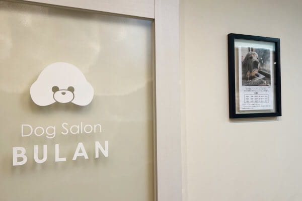 Dog Salon BULAN_1
