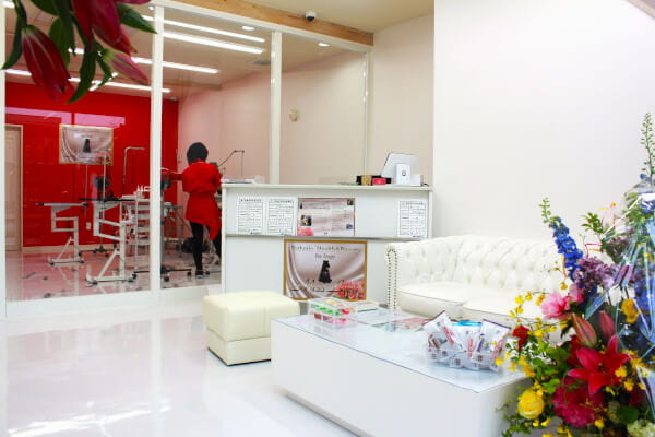 Eathetic health&beauty for Dogs MissLacy ひたちなか_2