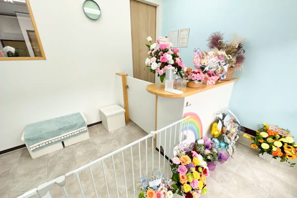Dog-Salon My Sugar_1