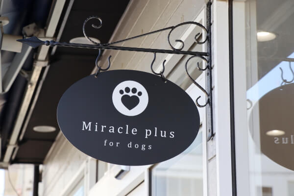 Miracle plus
