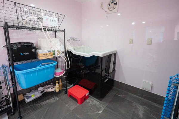 Dog care salon Oli_3