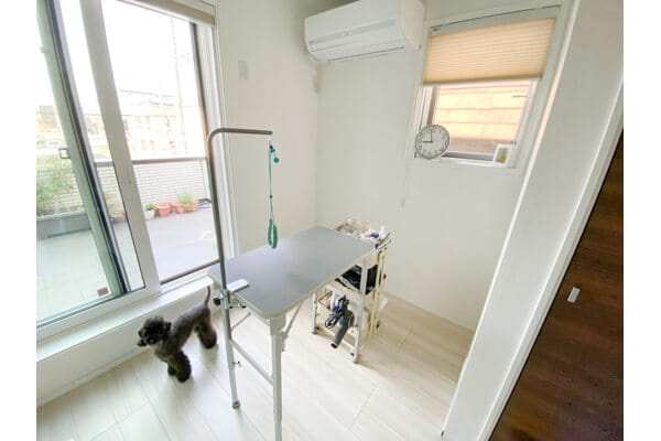 Dog salon gyutte_1