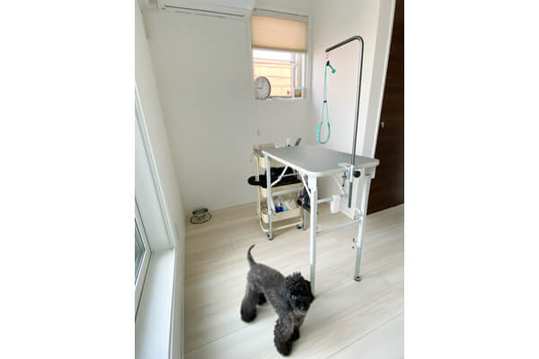 Dog salon gyutte_2