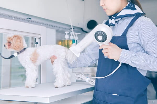 THE DOG Salon Trimming Wagon 京都本店_1