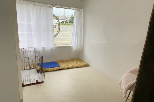 Dog Salon ohana_3