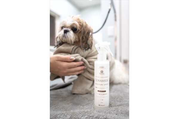 pet salon Milk_3