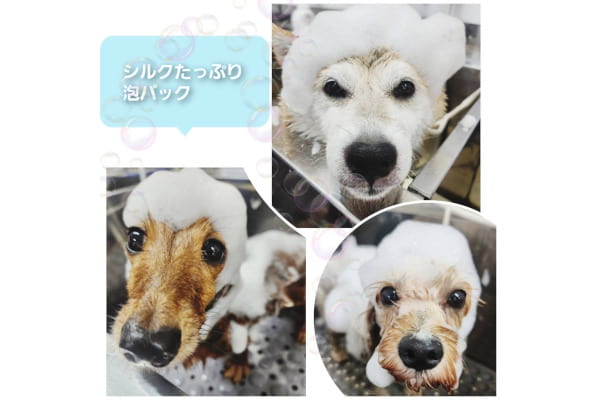 トリミングサロン アロマ (さいとう動物病院富岡総合医療センター内)_4