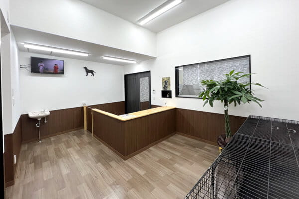 Dog Salon わん_2