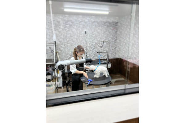Dog Salon わん_3