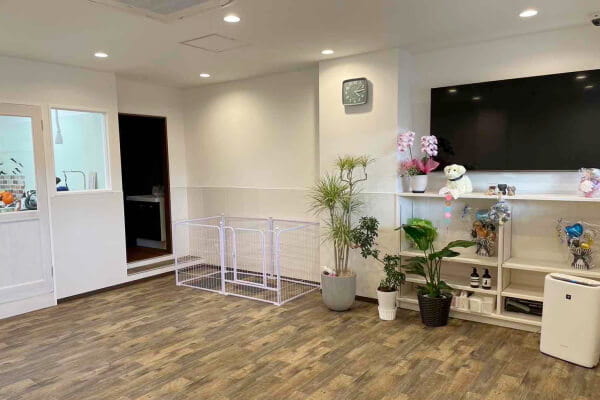 Trimming salon La Paw_3