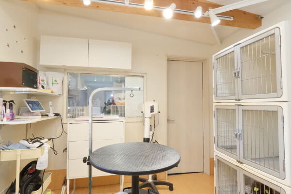 Dog Salon Miel._4