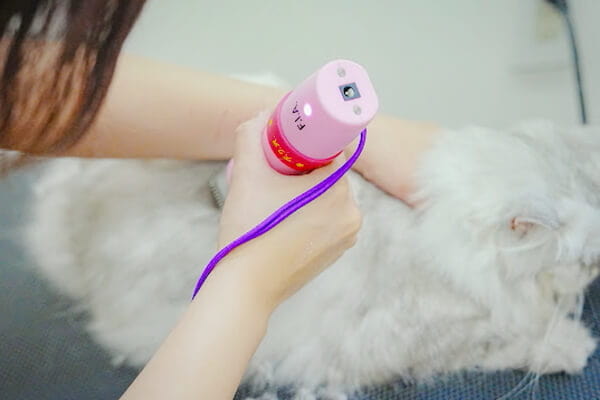 Cats Only Hotel +Salon POCO._4