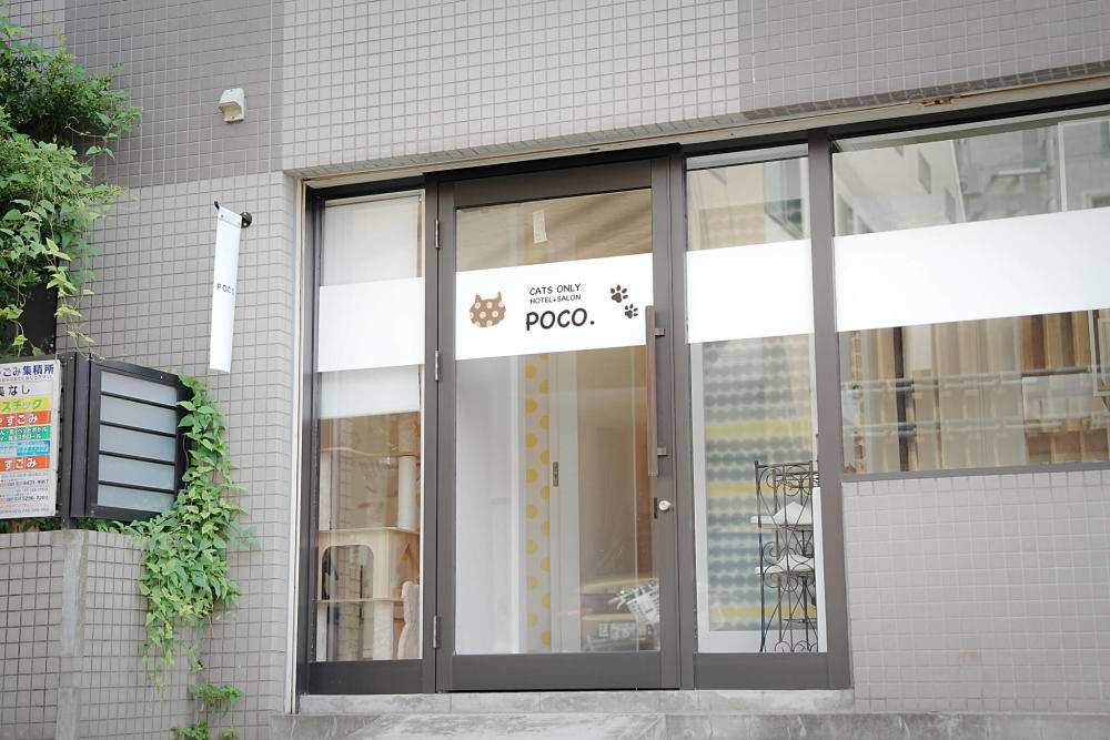 Cats Only Hotel +Salon POCO.