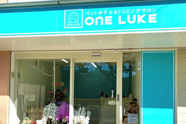 ワンルーク自由ヶ丘店