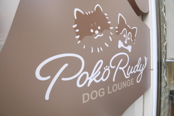 Dog Lounge PokoRudy_1