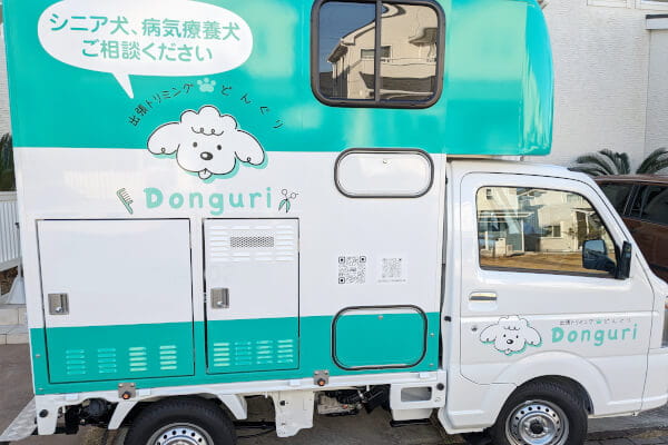 出張トリミング どんぐり