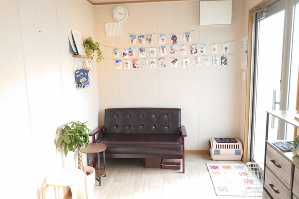 Dogsalon Chainon_2