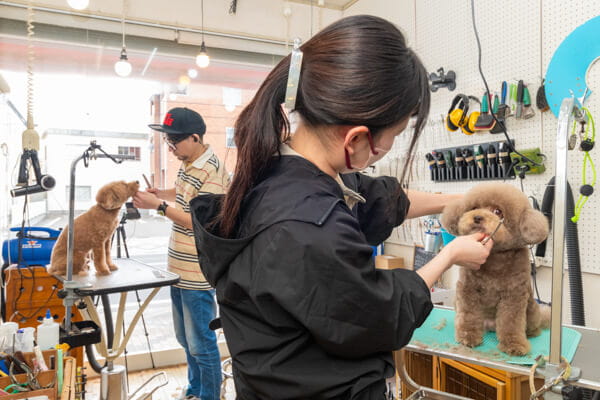 DOG SALON HOPE_4